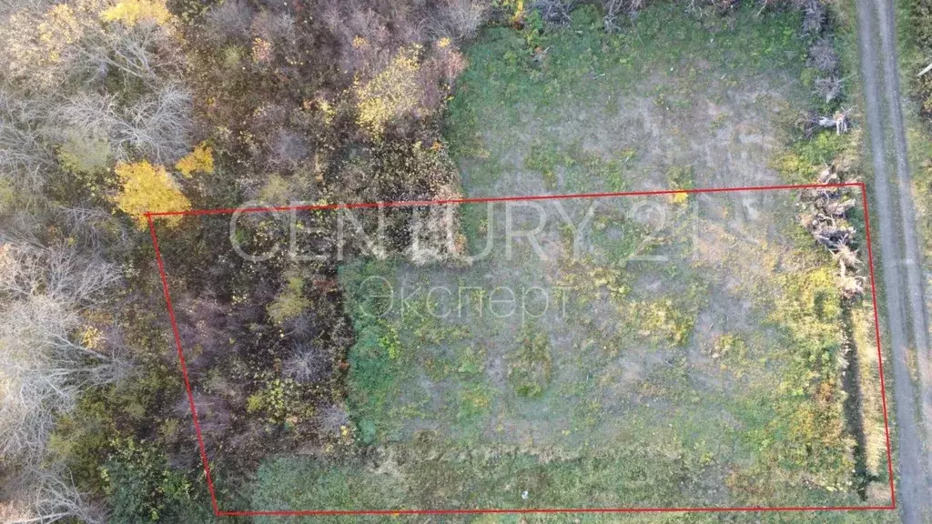 Участок в Калининградская область, Зеленоградский муниципальный округ, ... - Фото 1