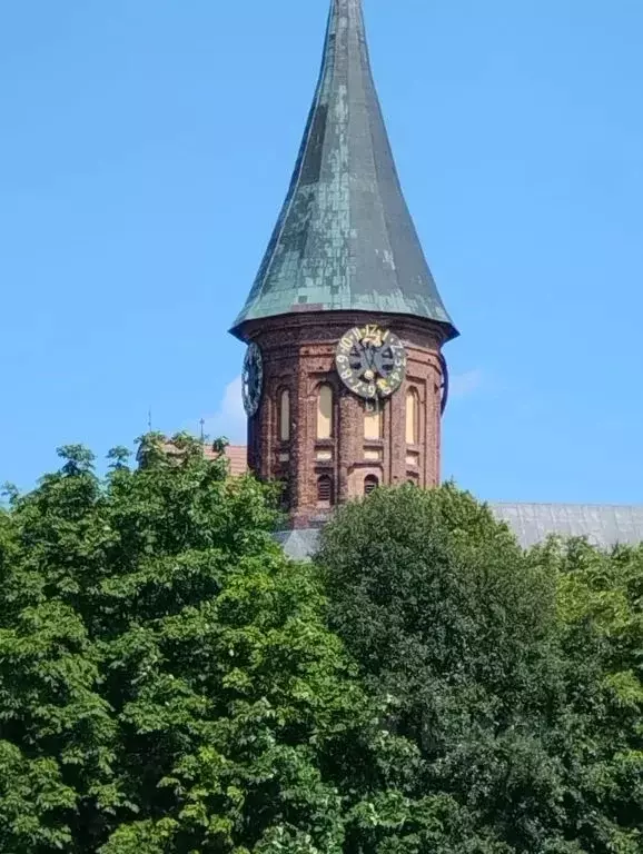 1-к кв. Калининградская область, Калининград Старопрегольская наб., 8 ... - Фото 0