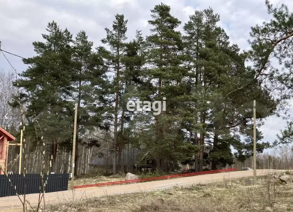 Участок в Ленинградская область, Приозерский район, Ларионовское ... - Фото 1