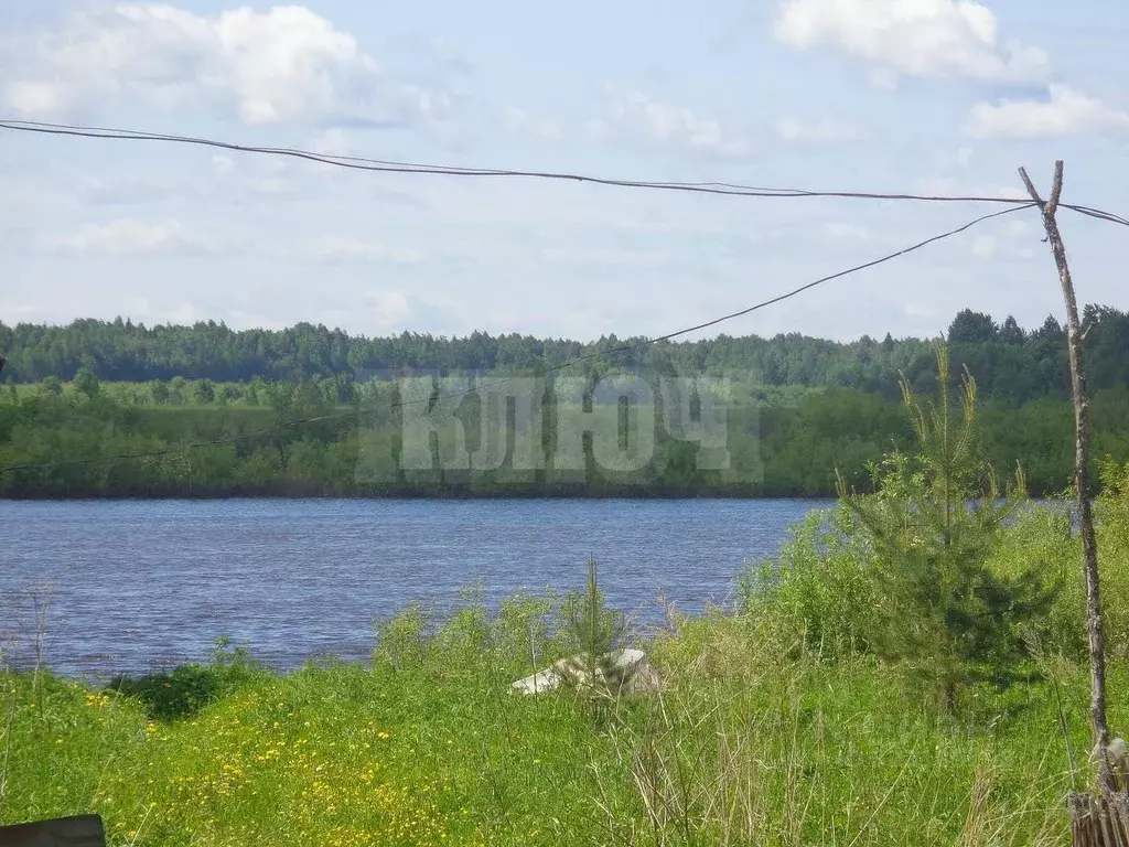 Участок в Вологодская область, Сокольский муниципальный округ, д. ... - Фото 1
