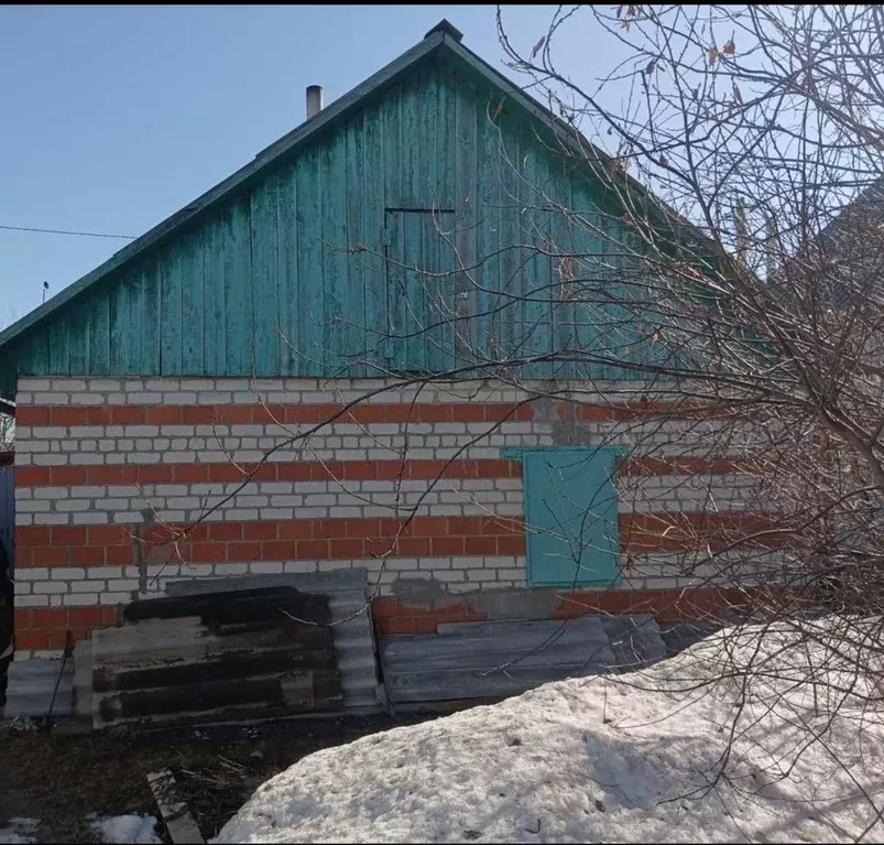Дом в Челябинская область, Сосновский район, с. Долгодеревенское ... - Фото 0
