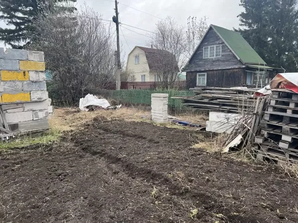 Участок в Новосибирская область, Новосибирский район, Толмачевский ... - Фото 2