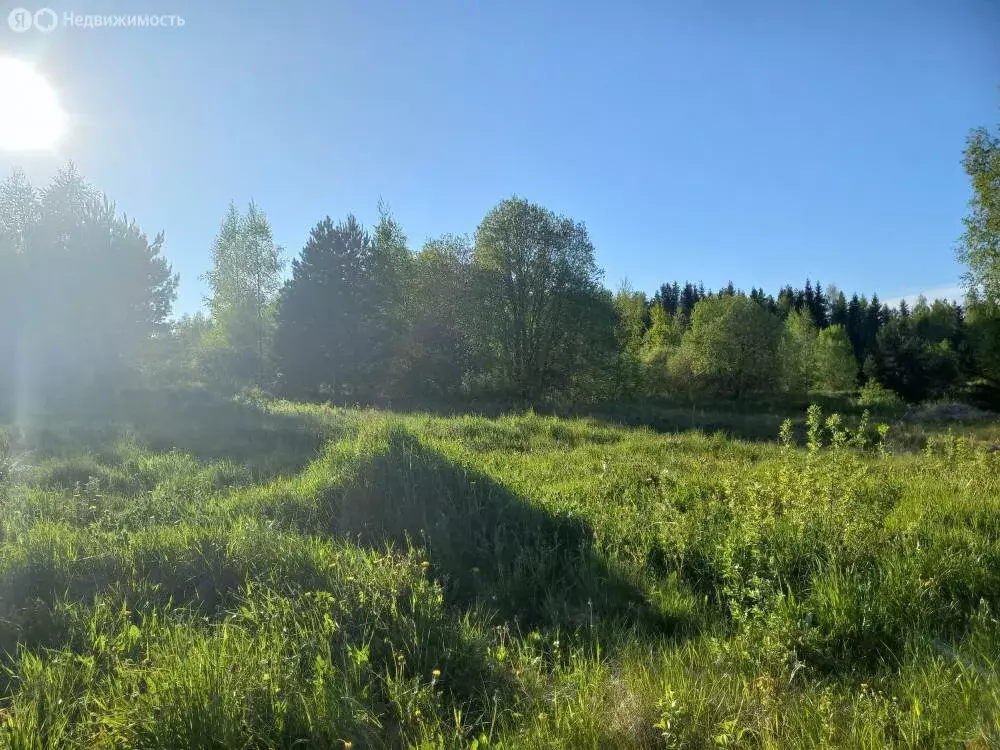 Участок в Псковский район, Карамышевская волость, деревня Подгорье ... - Фото 0