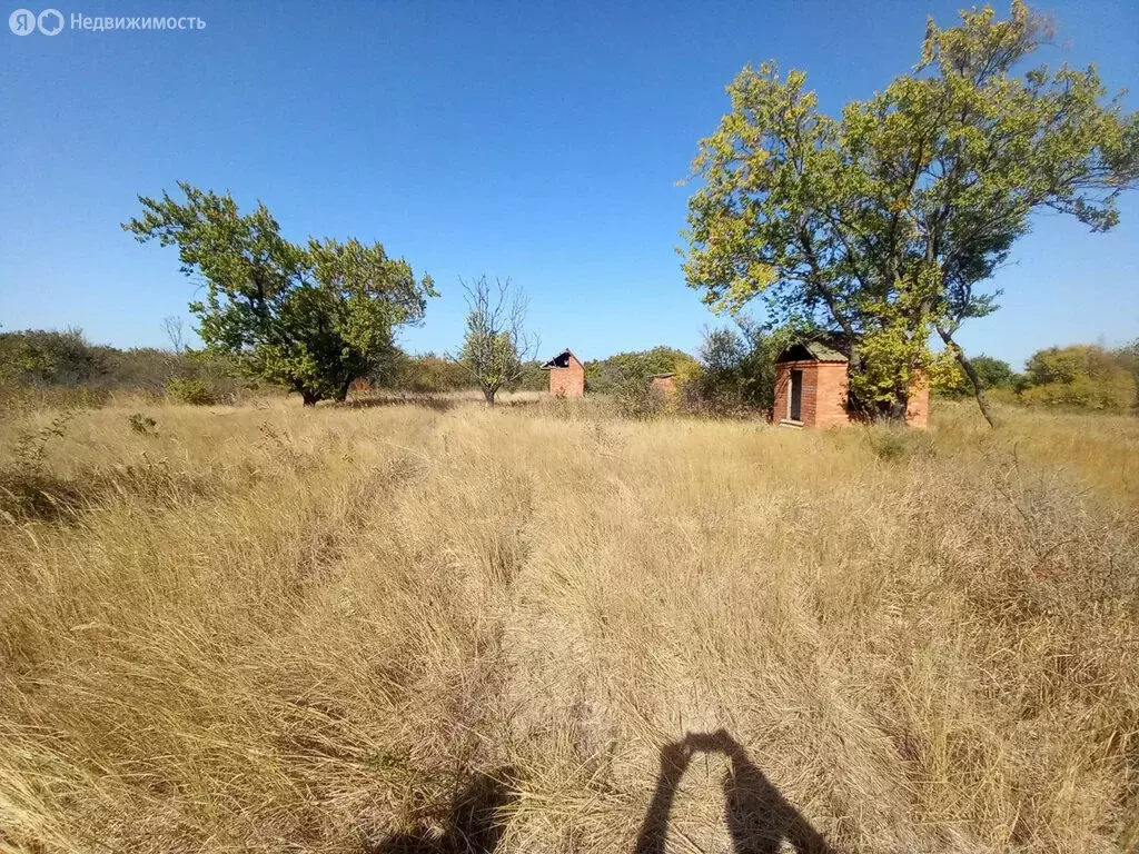 Участок в Ейск, СНТ Виктория (5 м) - Фото 1