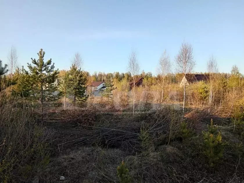 Участок 7 сот. (ИЖС) - Фото 1