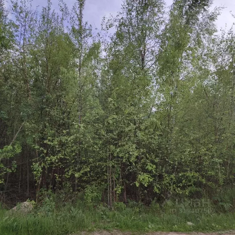 Участок в Московская область, Павлово-Посадский городской округ, д. ... - Фото 0
