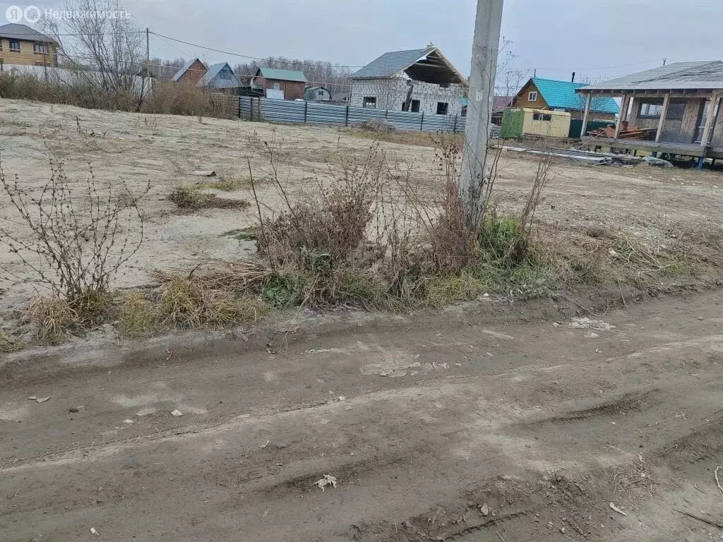 Участок в Криводановский сельсовет, СНТ Ёлочка-2, Ольховая улица (743 ... - Фото 1