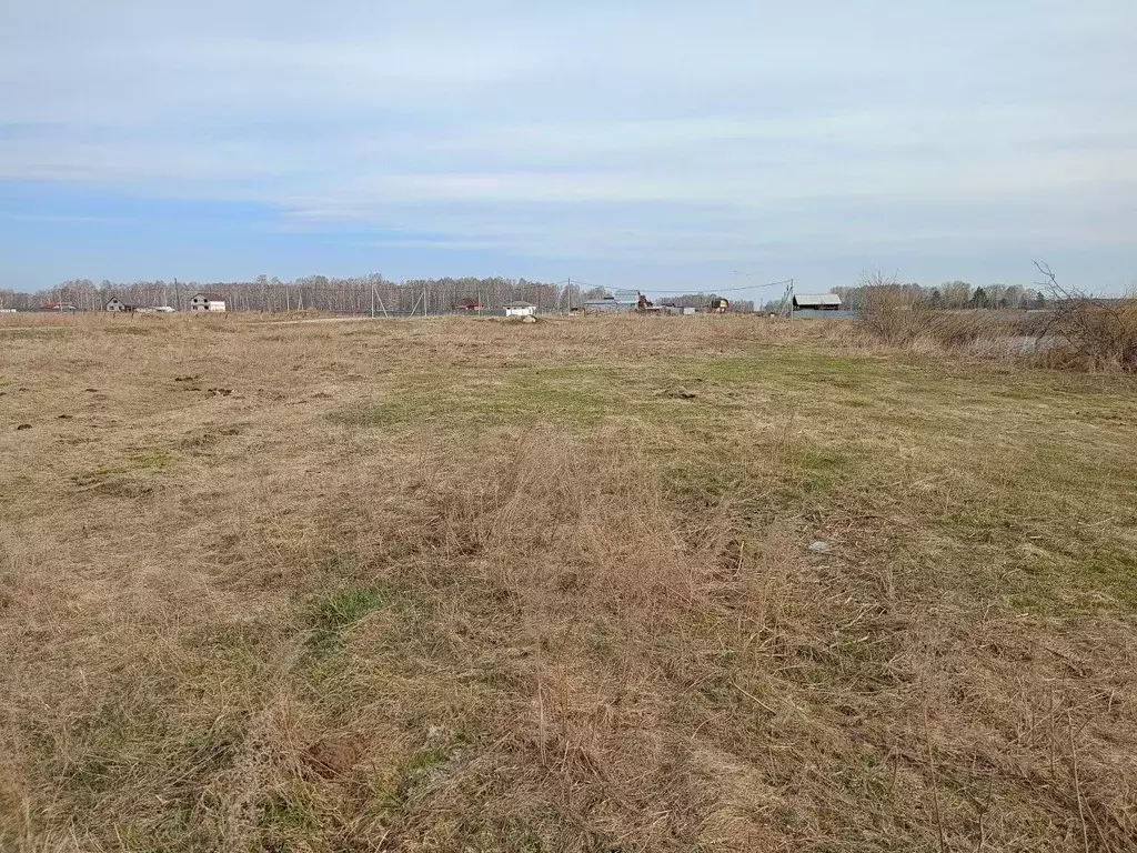 Участок в Челябинская область, Сосновский муниципальный округ, с. ... - Фото 1