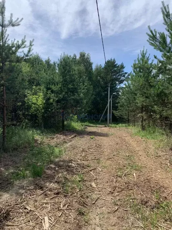 Участок в Нижегородская область, Богородский муниципальный округ, д. ... - Фото 0