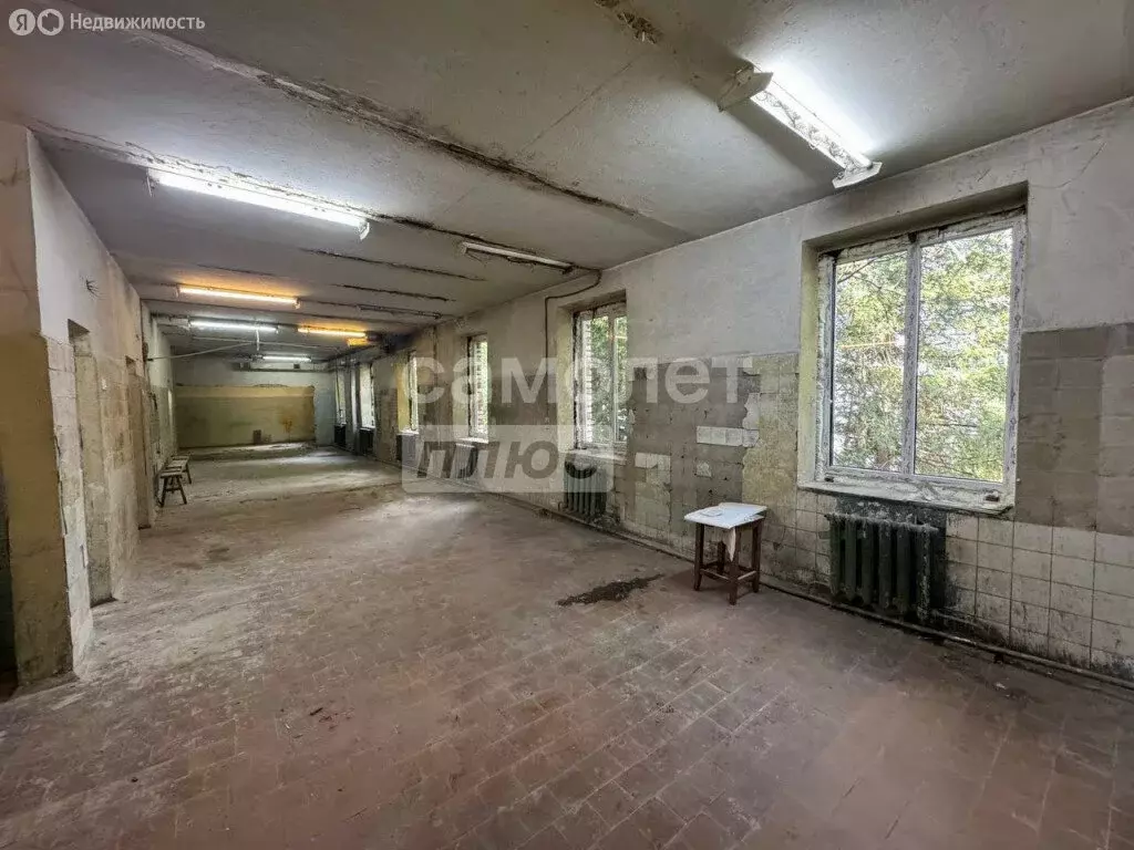 Помещение свободного назначения (370 м) - Фото 1