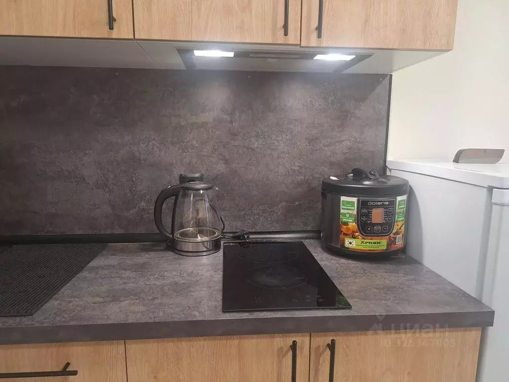 1-к кв. Ленинградская область, Всеволожский район, Свердловское ... - Фото 2