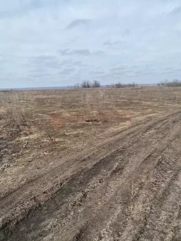 Участок в Ростовская область, Аксайский район, Старочеркасская ст-ца  ... - Фото 1