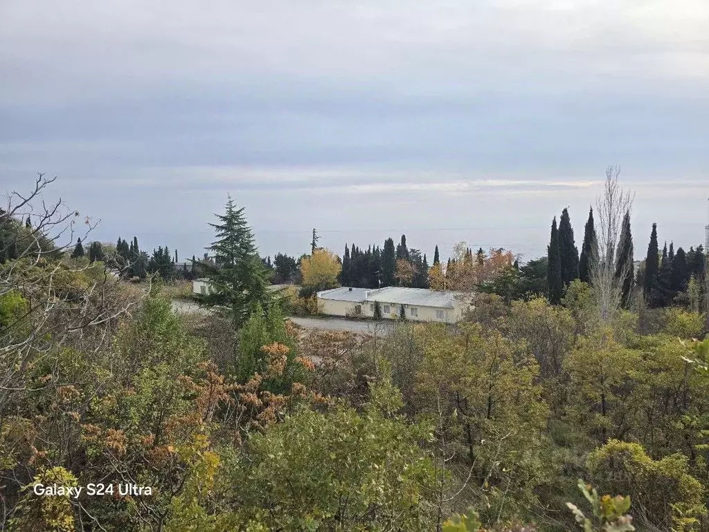 Участок в Крым, Ялта муниципальный округ, Отрадное пгт ш. Дражинского ... - Фото 1