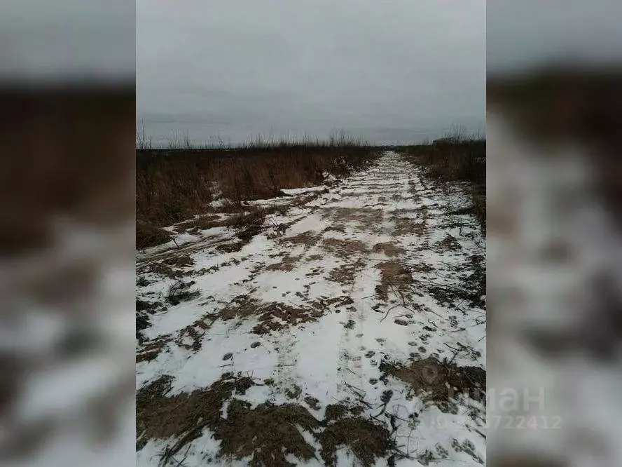 Участок в Московская область, Раменский муниципальный округ, д. ... - Фото 2