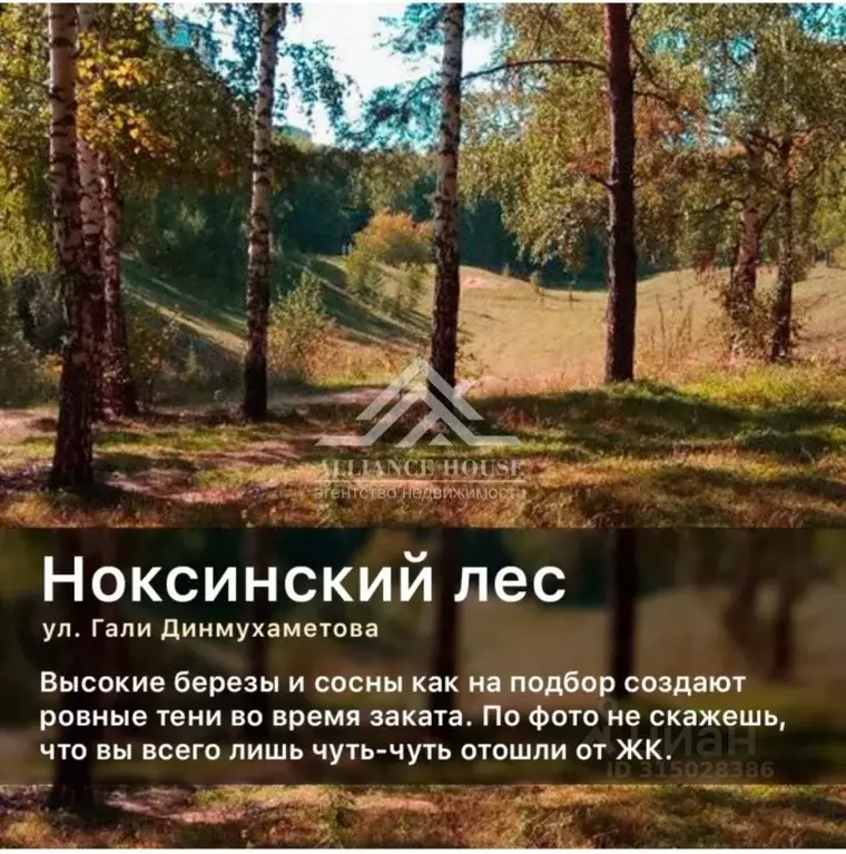 Участок в Татарстан, Казань ул. Воздвиженская (5.8 сот.) - Фото 1