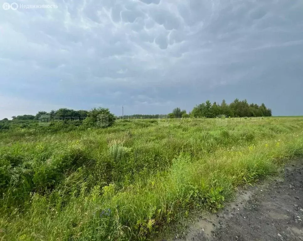 Участок в Зеленодольский район, Бишнинское сельское поселение, село ... - Фото 1