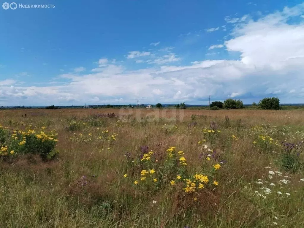 Участок в Пермский край, Чусовой (8.38 м) - Фото 2