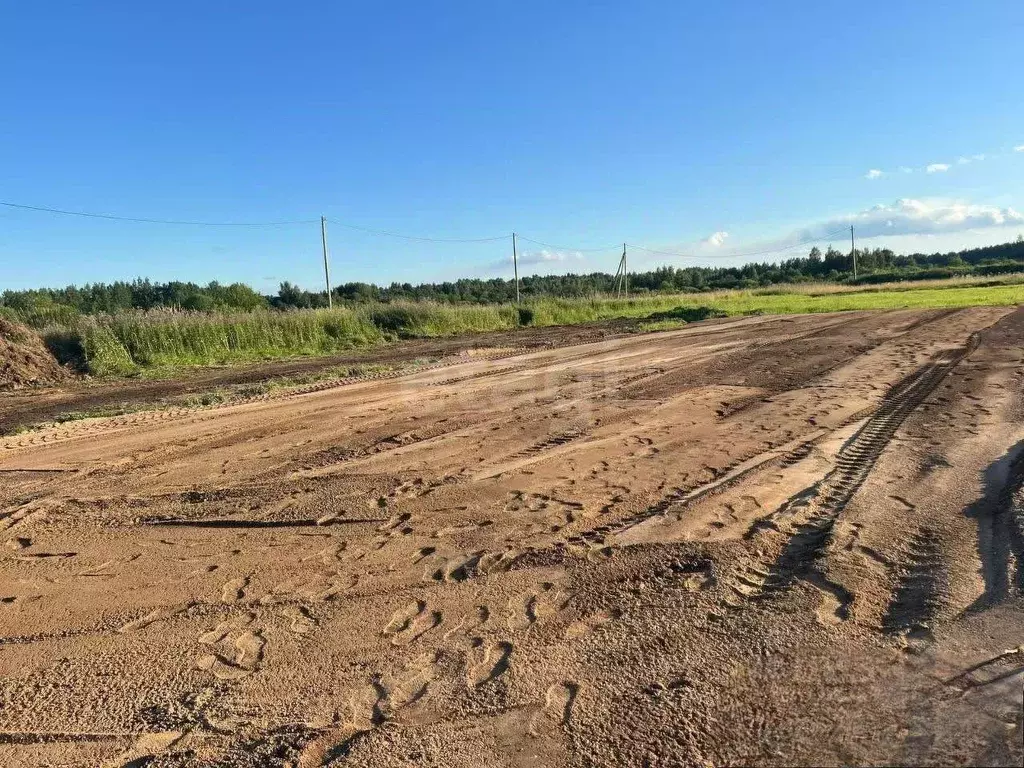 Участок в Вологодская область, Шекснинский муниципальный округ, д. ... - Фото 1