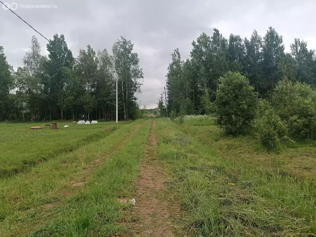 Участок в Савинское сельское поселение, деревня Волынь (22.3 м) - Фото 0