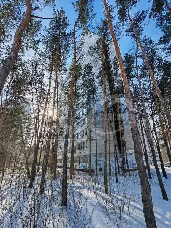 1-к кв. Воронежская область, Воронеж Южно-Моравская ул., 15а (32.6 м) - Фото 0