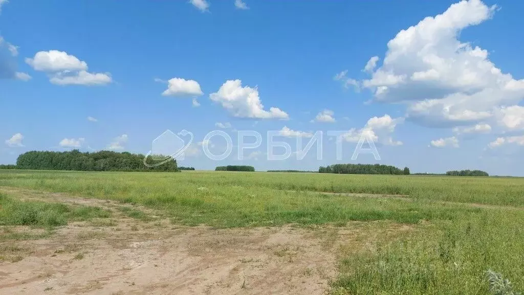 Участок в Тюменская область, Тюменский район, с. Кулига ул. Валерия ... - Фото 1