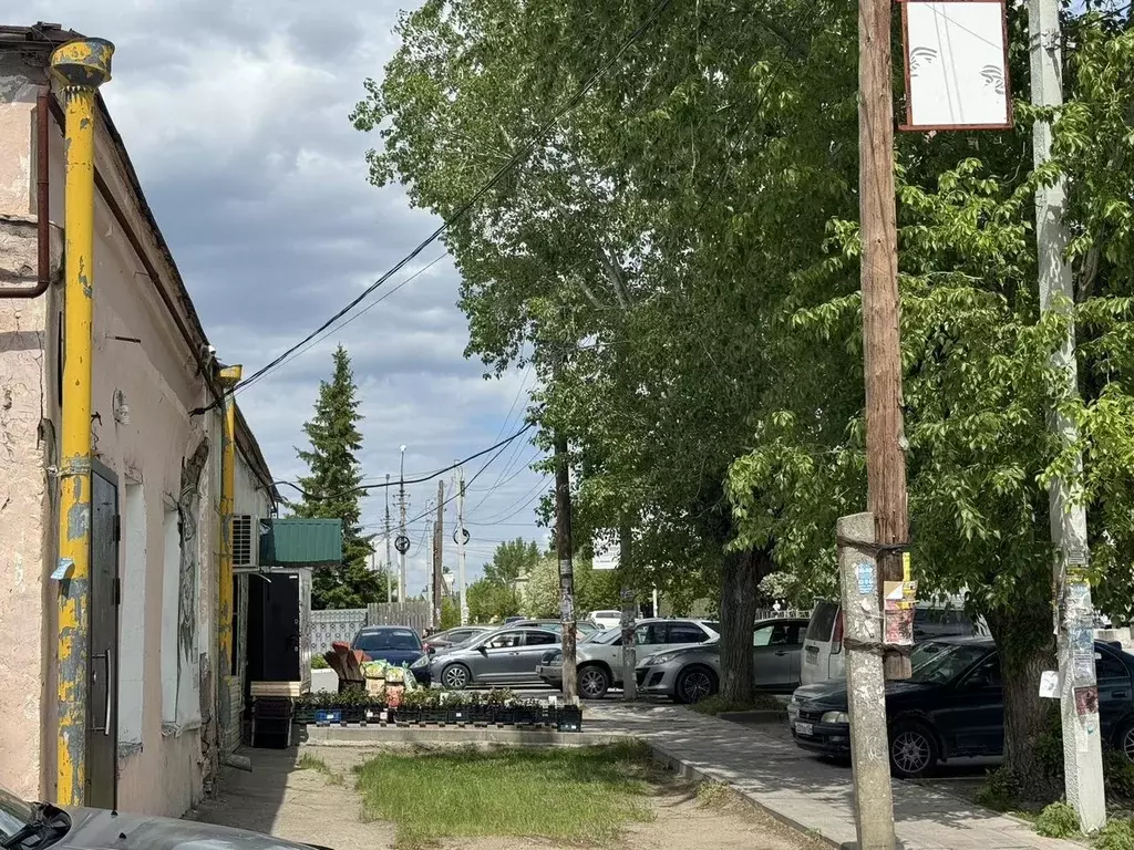 Торговая площадь в Новосибирская область, Колывань рп ул. Максима ... - Фото 1