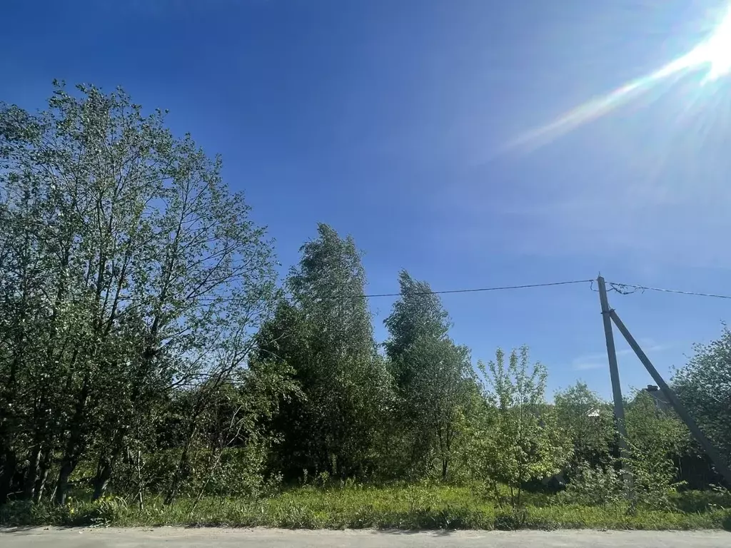 Участок в Ивановская область, Ивановский муниципальный округ, д. ... - Фото 2