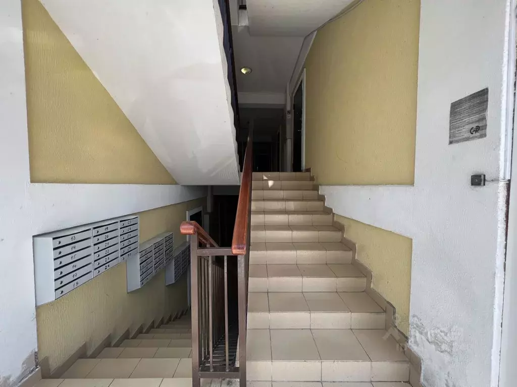 Студия Краснодарский край, Сочи Пятигорская ул., 92/3 (20.0 м) - Фото 2