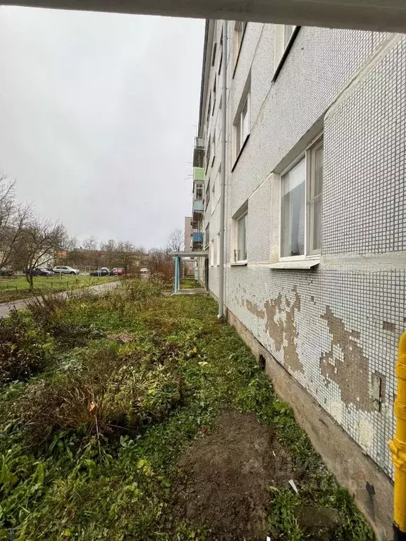 2-к кв. Псковская область, Дно ул. Строителей, 21 (36.0 м) - Фото 1
