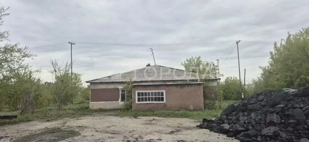 Дом в Алтайский край, с. Ребриха просп. Победы, 3А (229 м) - Фото 1