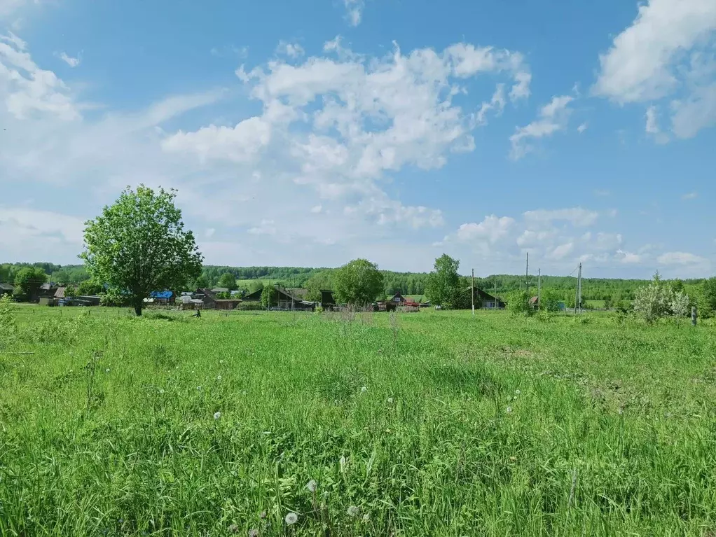 абатский район. ленинка абатский район тюменская область. шевырино абатского района тюменской области. ленинка абатский район. село быструха абатский район.