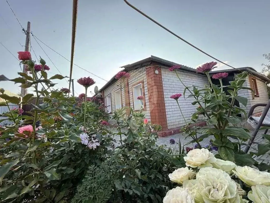 Дом в Белгородская область, Губкин Белгородская ул. (45 м) - Фото 0