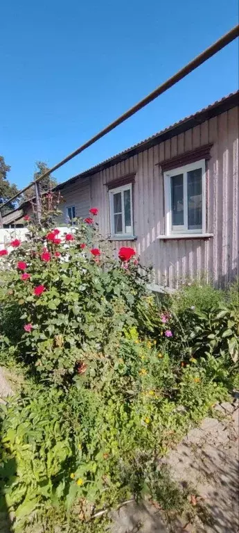 2-к кв. Липецкая область, Данков ул. Ленина, 36 (36.0 м) - Фото 1