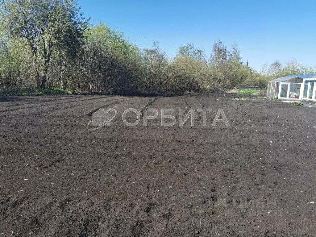 Участок в Тюменская область, Тюмень Царево садовое товарищество,  ... - Фото 0