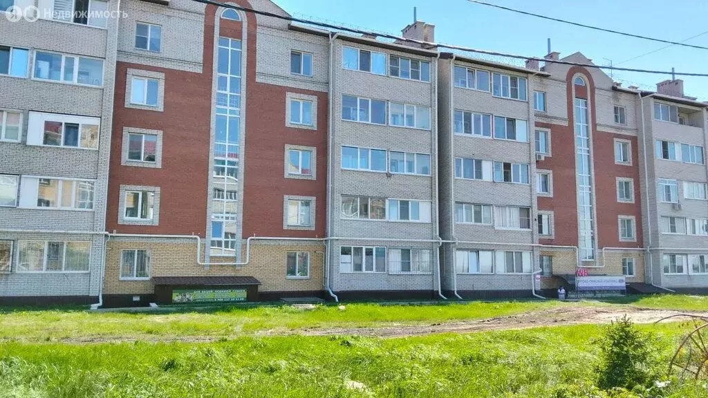 Офис (53.3 м) - Фото 1