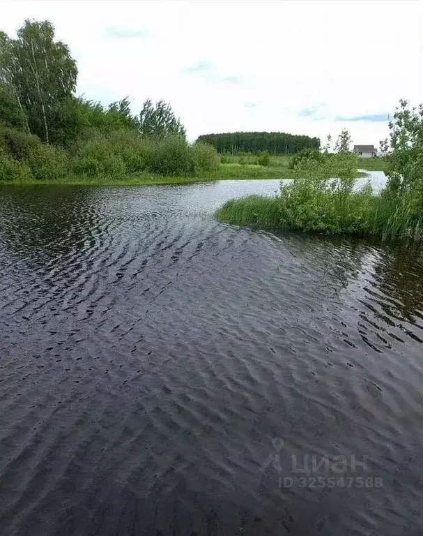 Участок в Московская область, Истра муниципальный округ, д. Большое ... - Фото 2