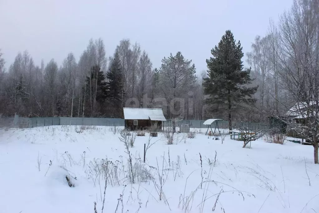 Дом в Вологодская область, Сокольский муниципальный округ, д. Малые ... - Фото 2