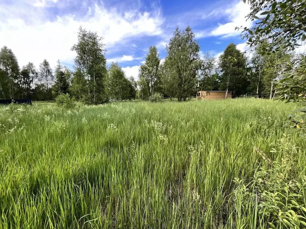 Участок в Московская область, Ступино городской округ, д. Гридюкино  ... - Фото 0