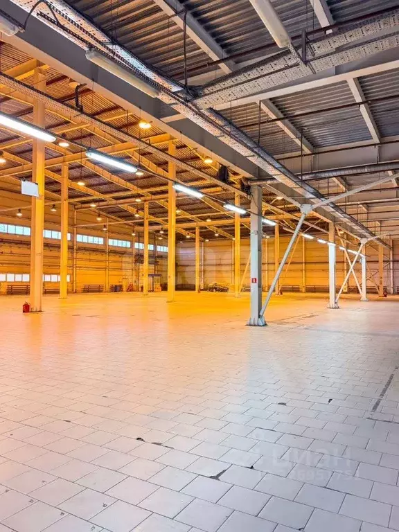 Склад в Московская область, Химки ш. Вашутинское, вл48 (2500 м) - Фото 1