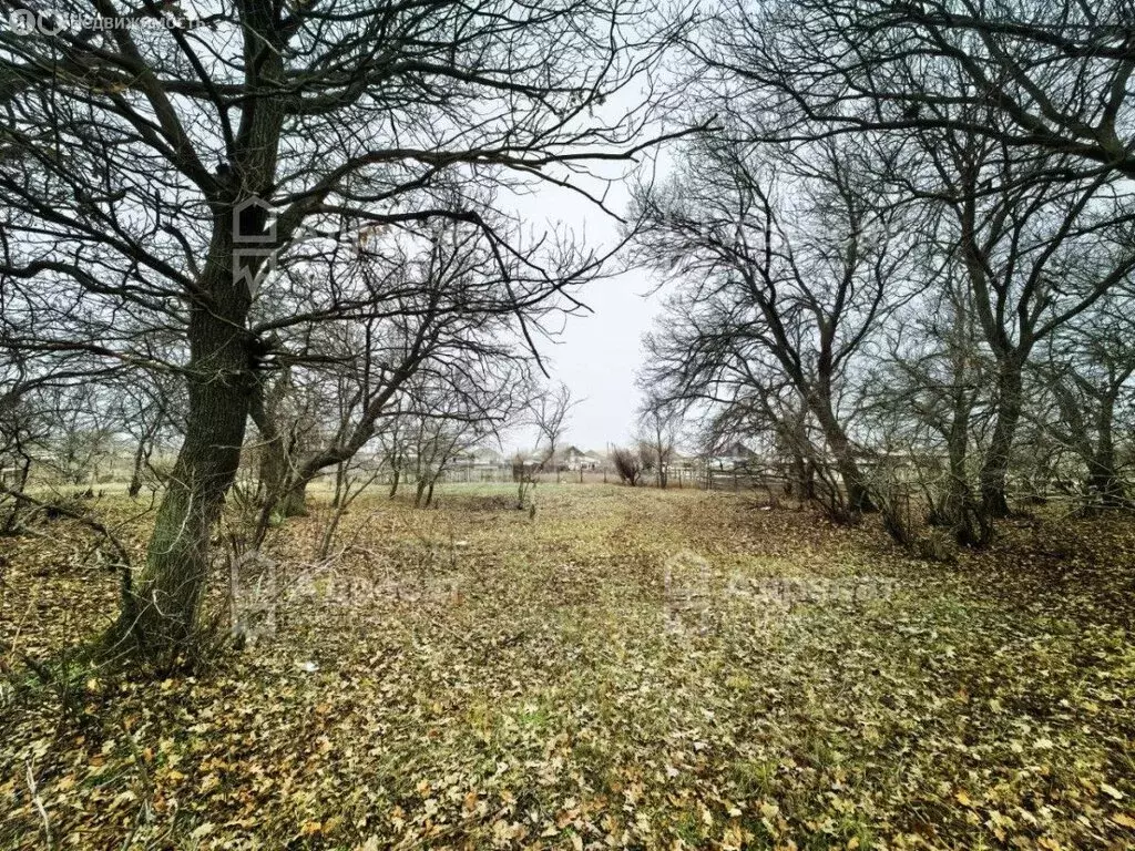 Участок в Бурковский, Степная улица (28.58 м) - Фото 1