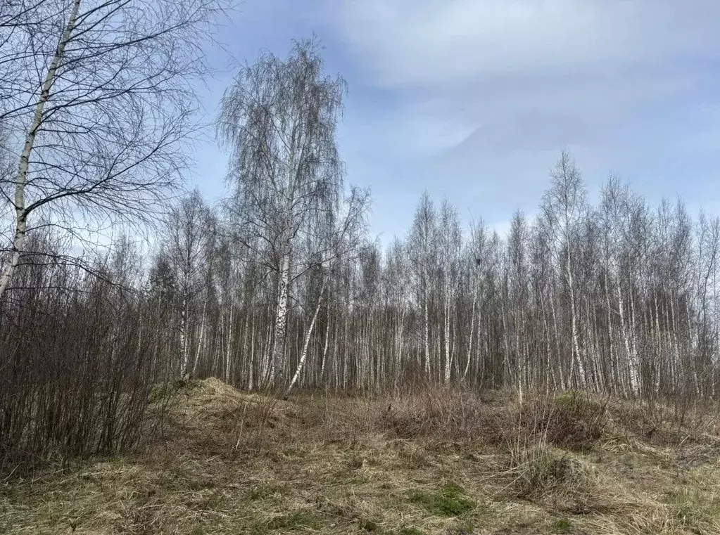Участок в Московская область, Электрогорск Павлово-Посадский городской ... - Фото 1