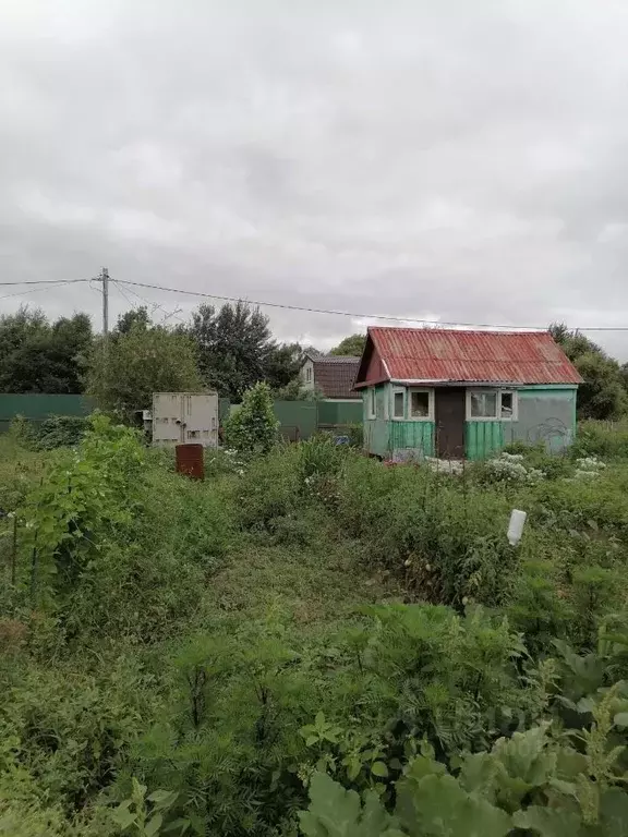 Дом в Еврейская автономная область, Смидовичский муниципальный район, ... - Фото 2