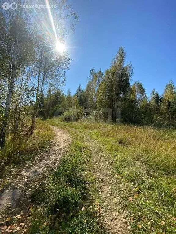 Участок в Выгоничский район, Хмелевское сельское поселение, деревня ... - Фото 0