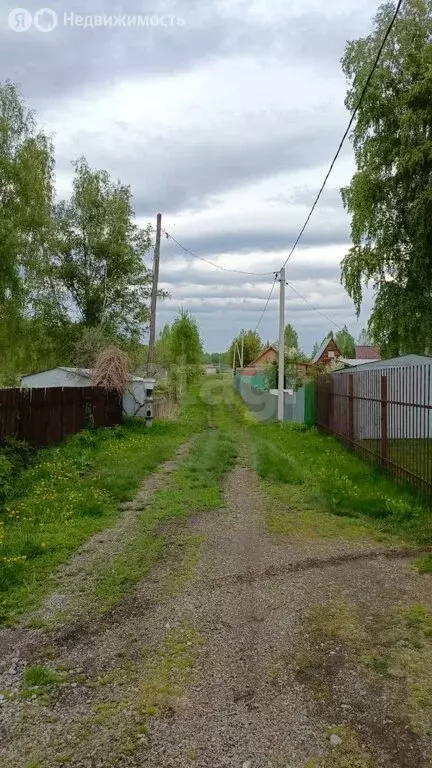 Участок в Новосибирский район, Ярковский сельсовет, садовое ... - Фото 0