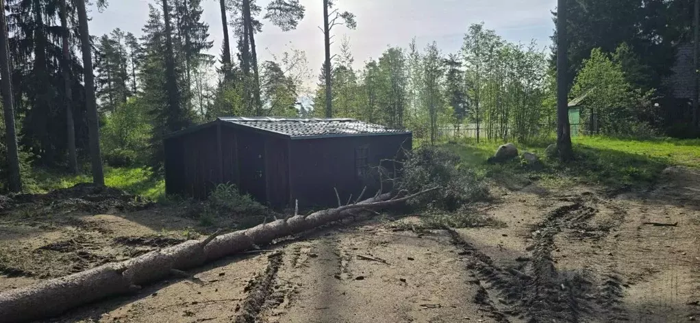 Участок в Ленинградская область, Приозерский район, пос. Сосново  ... - Фото 1