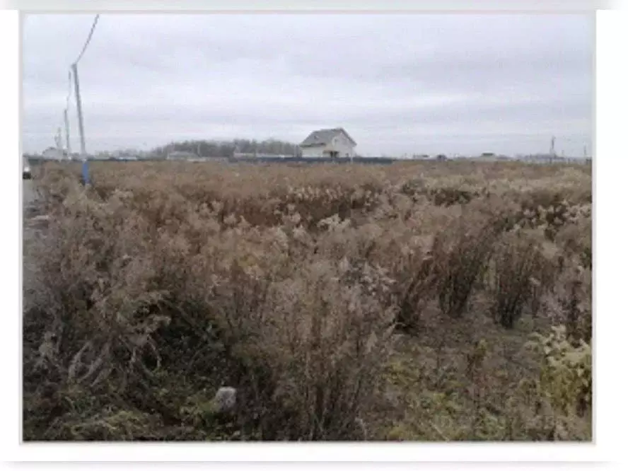 Участок в Московская область, Воскресенск ул. Конная (10.26 сот.) - Фото 0