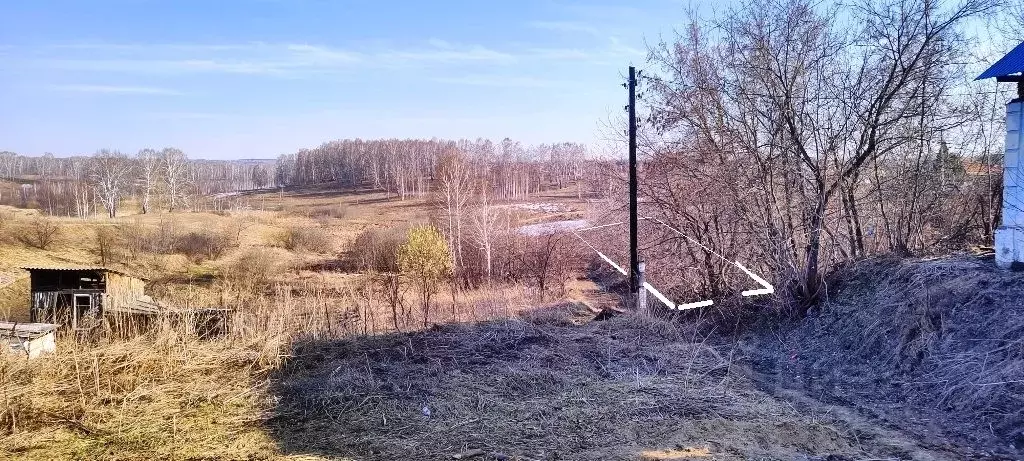 Участок в Новосибирская область, Новосибирский район, Станционный ... - Фото 1