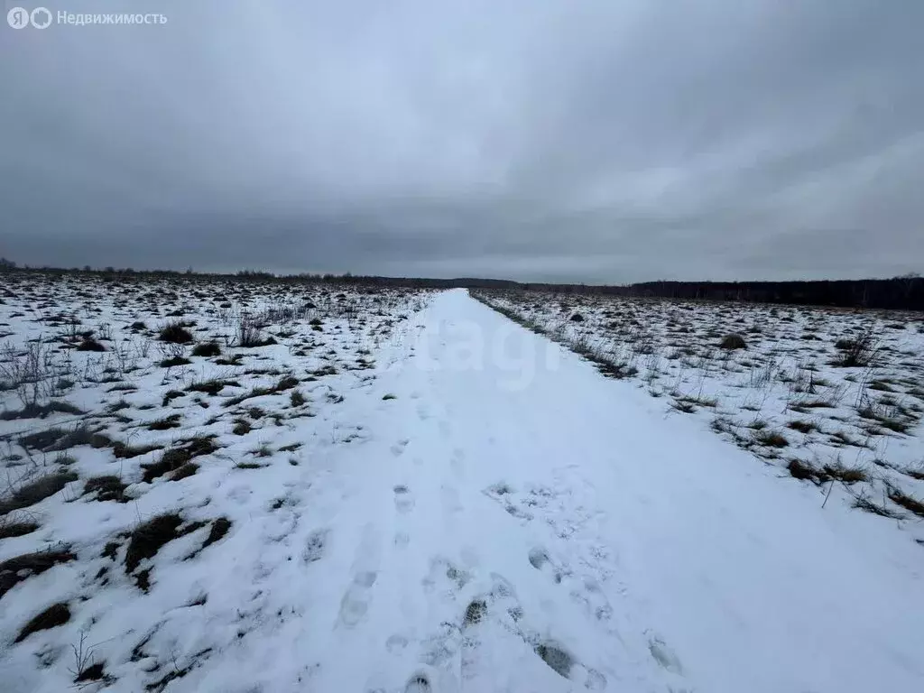 Участок в Тульская область, городской округ Тула, рабочий посёлок ... - Фото 1