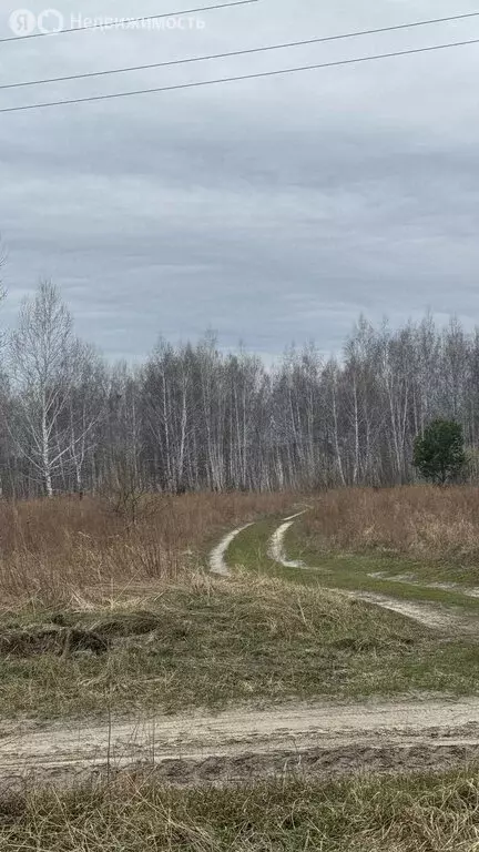 Участок в Курганская область, Кетовский муниципальный округ, деревня ... - Фото 0
