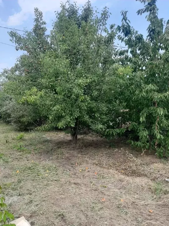 Дом в Ростовская область, Волгодонск Волгодонский Садовод СНТ, 1А (25 ... - Фото 2